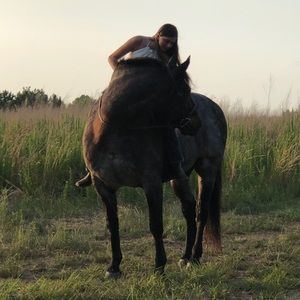 Meet your Posher, Emma